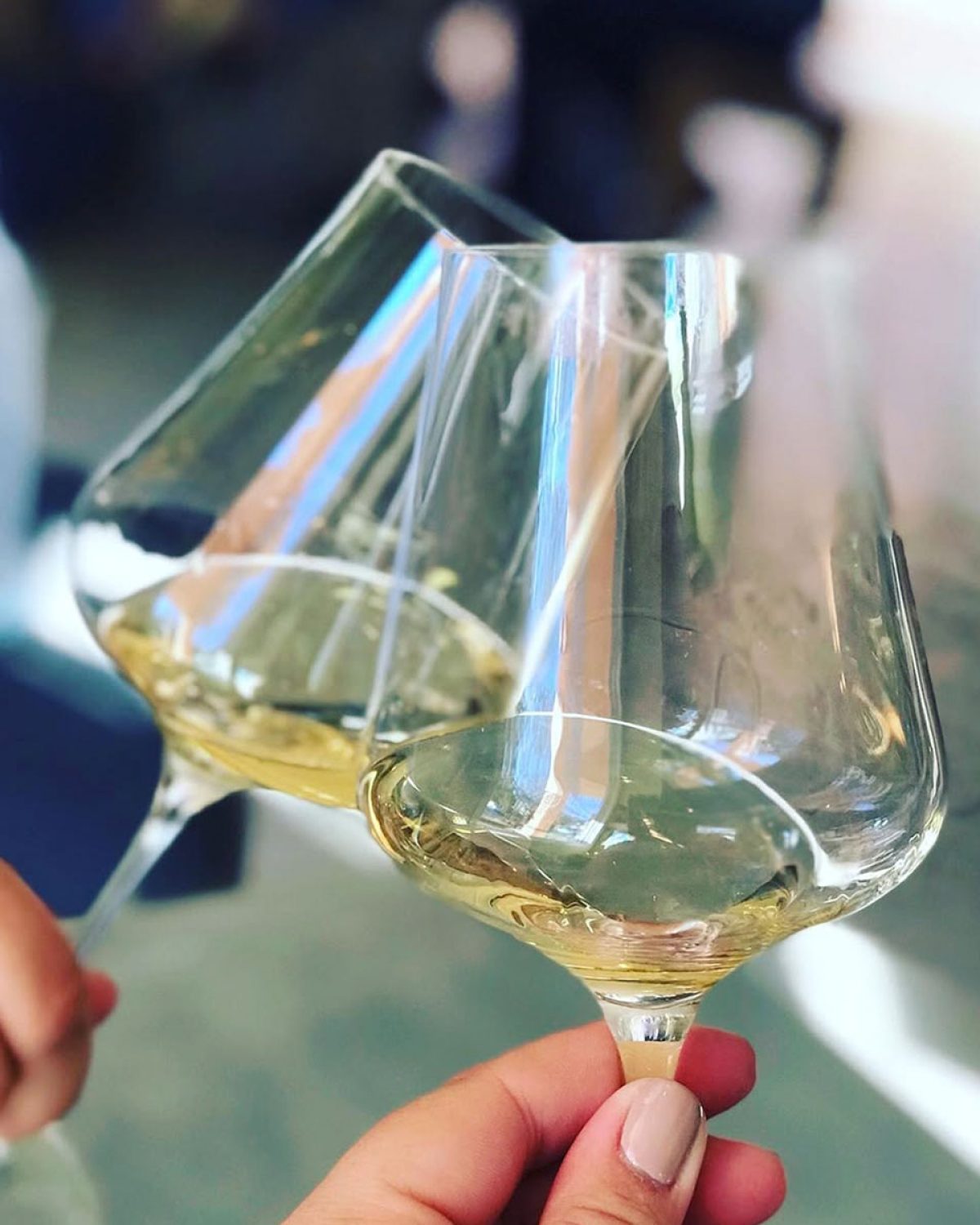 bodegas-fierro-fernandez-23
